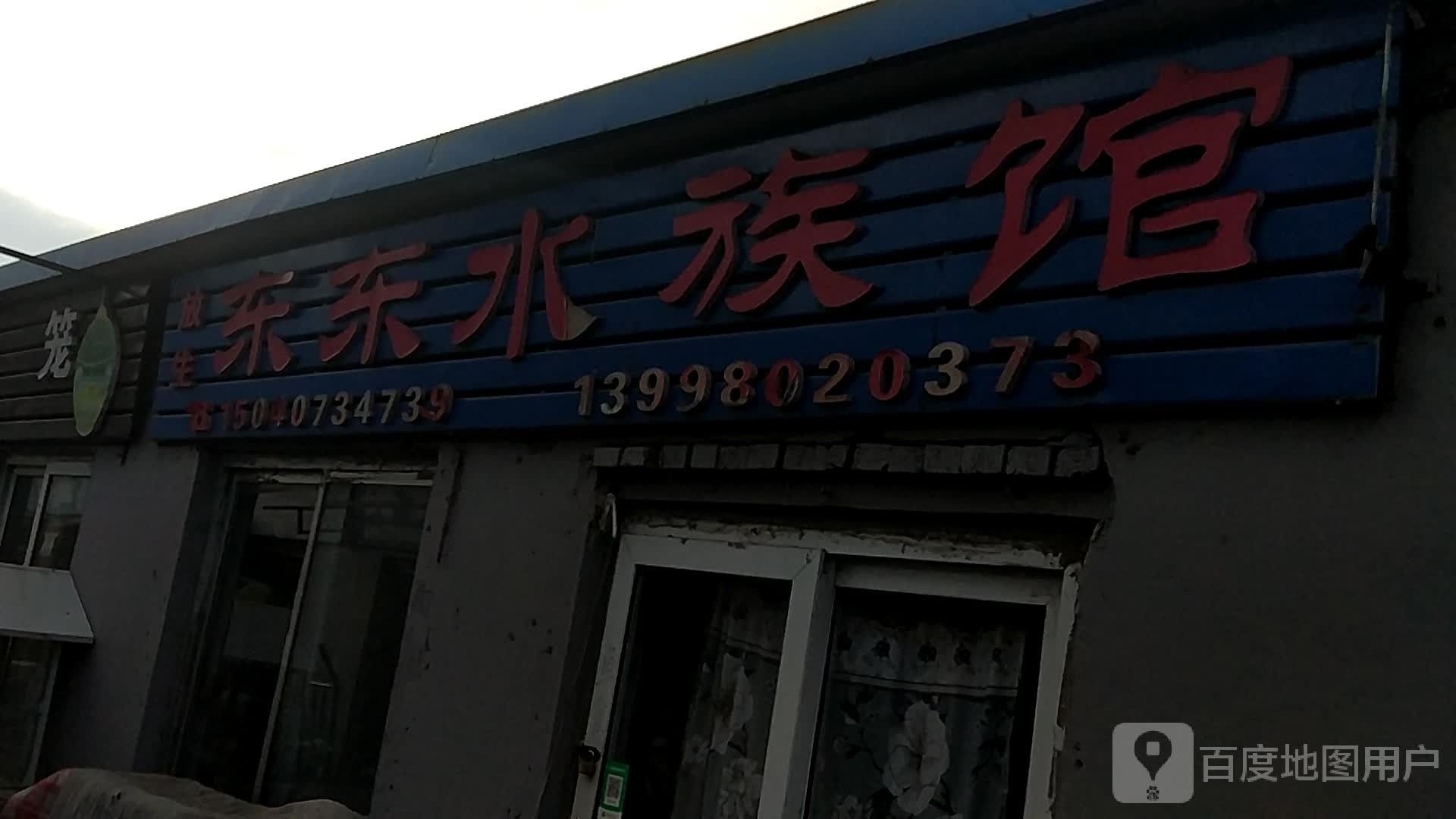 鞍山鐵西哪個水族館龍魚好？祥龍魚場龍魚（鞍山哪個水族館龍魚好）