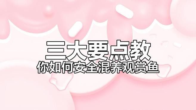 巴西亞魚和龍魚混養需要多大的魚缸