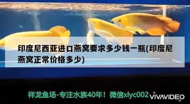 魚(yú)缸過(guò)濾器選購(gòu)指南:自制魚(yú)缸過(guò)濾器魚(yú)缸上置過(guò)濾器對(duì)于養(yǎng)魚(yú)愛(ài)好者的必備知識(shí) 印度尼西亞進(jìn)口燕窩要求多少錢(qián)一瓶(印度尼燕窩正常價(jià)格多少)(印尼進(jìn)口燕窩要求多少錢(qián)一瓶和印度尼西亞進(jìn)口燕窩要求多少錢(qián)一瓶) 觀賞魚(yú)百科 印度尼西亞進(jìn)口燕窩要求多少錢(qián)一瓶(印度尼燕窩正常價(jià)格多少)(印尼進(jìn)口燕窩要求多少錢(qián)一瓶和印度尼西亞進(jìn)口燕窩要求多少錢(qián)一瓶) 印度尼西亞進(jìn)口燕窩要求多少錢(qián)一瓶(印度尼燕窩正常價(jià)格多少)(印尼進(jìn)口燕窩要求多少錢(qián)一瓶和印度尼西亞進(jìn)口燕窩要求多少錢(qián)一瓶) 觀賞魚(yú)百科