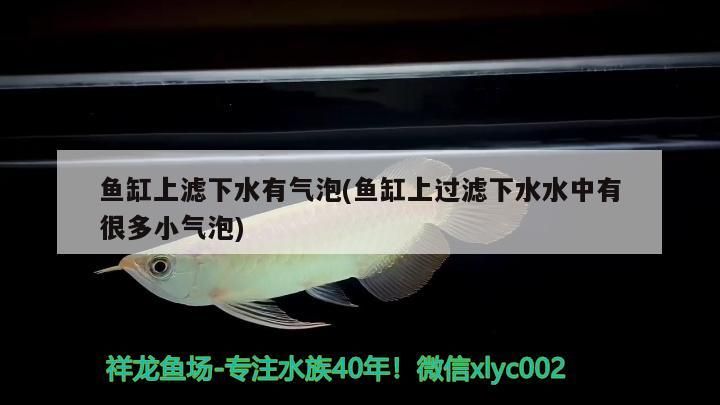 魚缸上濾下水有氣泡(魚缸上過濾下水水中有很多小氣泡)（魚缸上濾下水有氣泡怎么辦）