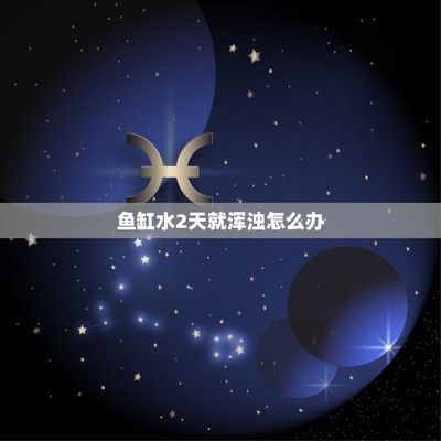 總覺得狀態差一點大家幫忙看看（總覺得狀態差一點）