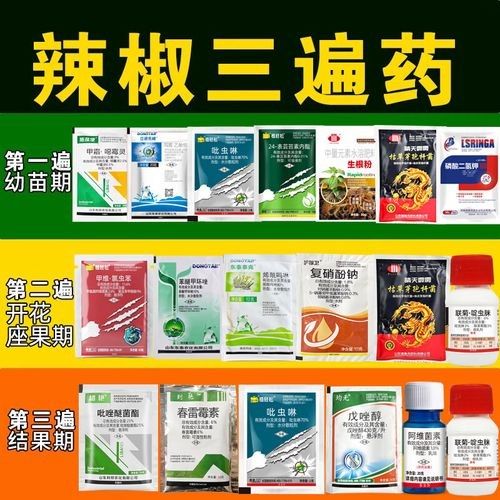 毒椒系列的價格范圍