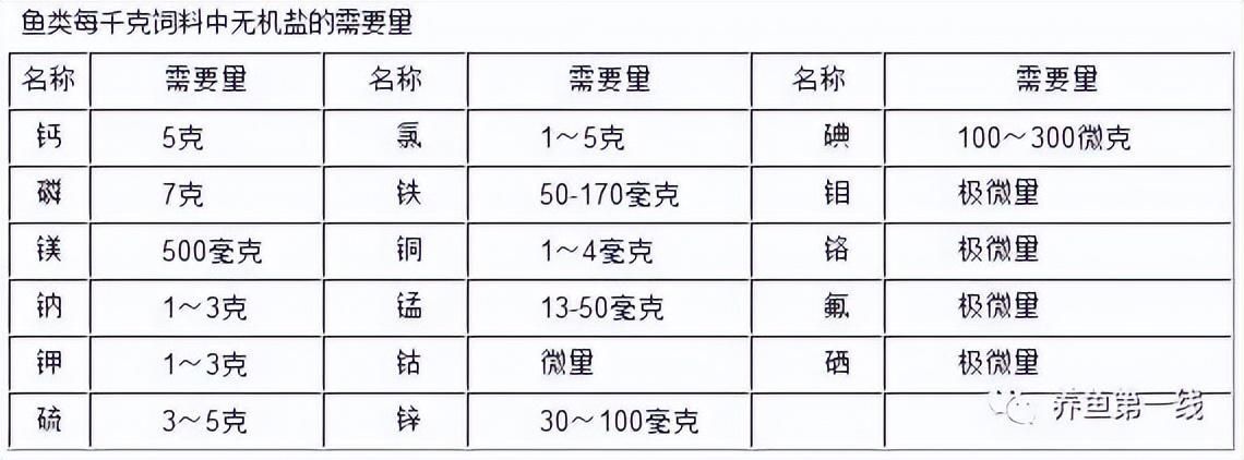 金龍魚的最佳水溫：金龍魚在什么最佳水溫下生長得最好呢？