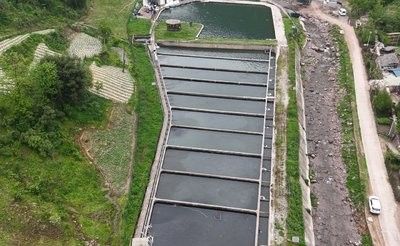 涼山彝族自治州有哪些知名的龍魚養殖場（涼山彝族自治州一些知名的龍魚養殖場的簡要介紹）