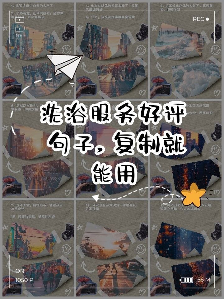 成都龍魚閣水族箱專賣店的口碑如何（成都龍魚閣水族箱專賣店） 成都龍魚閣水族箱專賣店的口碑如何（成都龍魚閣水族箱專賣店） 龍魚百科 第10張