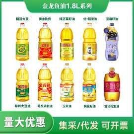 金龍魚批發商有哪些推薦（北京地區金龍魚批發商推薦）