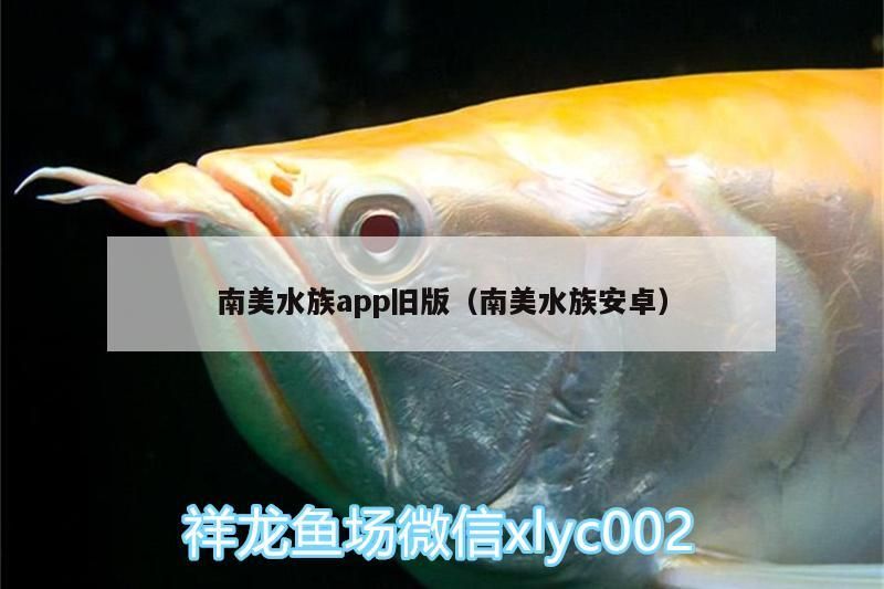 魚缸用增氧泵價格是多少:魚缸增氧機-xtrac增氧機-xtrac增氧機 南美水族app舊版(南美水族安卓)(南美水族app應用) 觀賞魚百科 南美水族app舊版(南美水族安卓)(南美水族app應用) 南美水族app舊版(南美水族安卓)(南美水族app應用) 觀賞魚百科