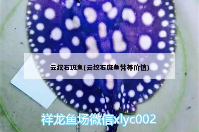 云紋石斑魚(云紋石斑魚營養價值)
