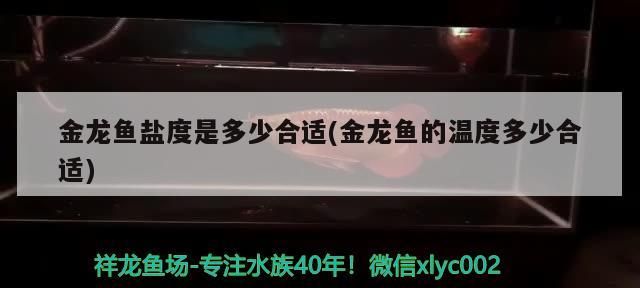 金龍魚鹽度是多少合適(金龍魚的溫度多少合適) 金龍魚鹽度是多少合適(金龍魚的溫度多少合適) 觀賞魚百科