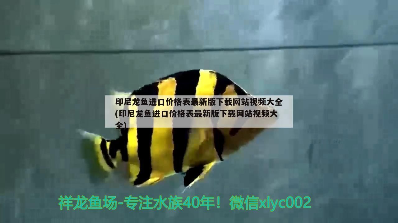 印尼龍魚進口價格表最新版下載網站視頻大全(印尼龍魚進口價格表最新版下載網站視頻大全)