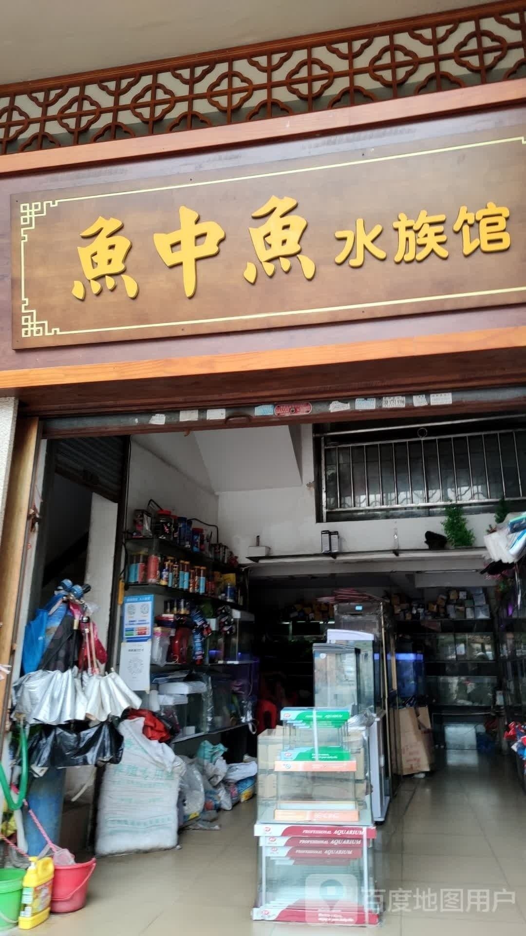 臺山哪個水族館龍魚好？祥龍魚場龍魚（臺山市祥龍水族館）