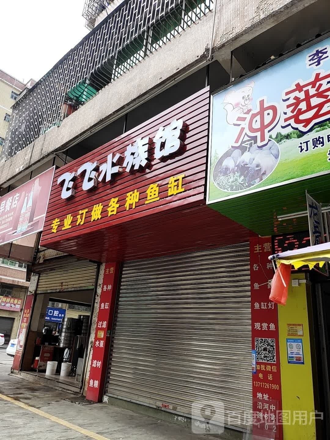臺山哪個水族館龍魚好？祥龍魚場龍魚（臺山市祥龍水族館）