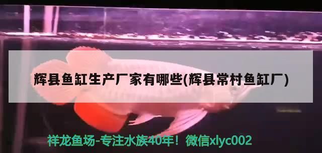 輝縣魚缸生產廠家有哪些(輝縣常村魚缸廠)