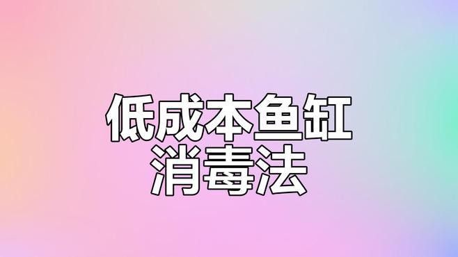 如何消毒魚缸以避免疾病傳播（關(guān)山聽風(fēng),魚缸消毒最簡單的方法全攻略）