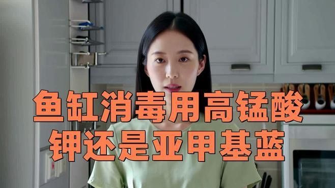 如何消毒魚缸以避免疾病傳播（關(guān)山聽風(fēng),魚缸消毒最簡單的方法全攻略）