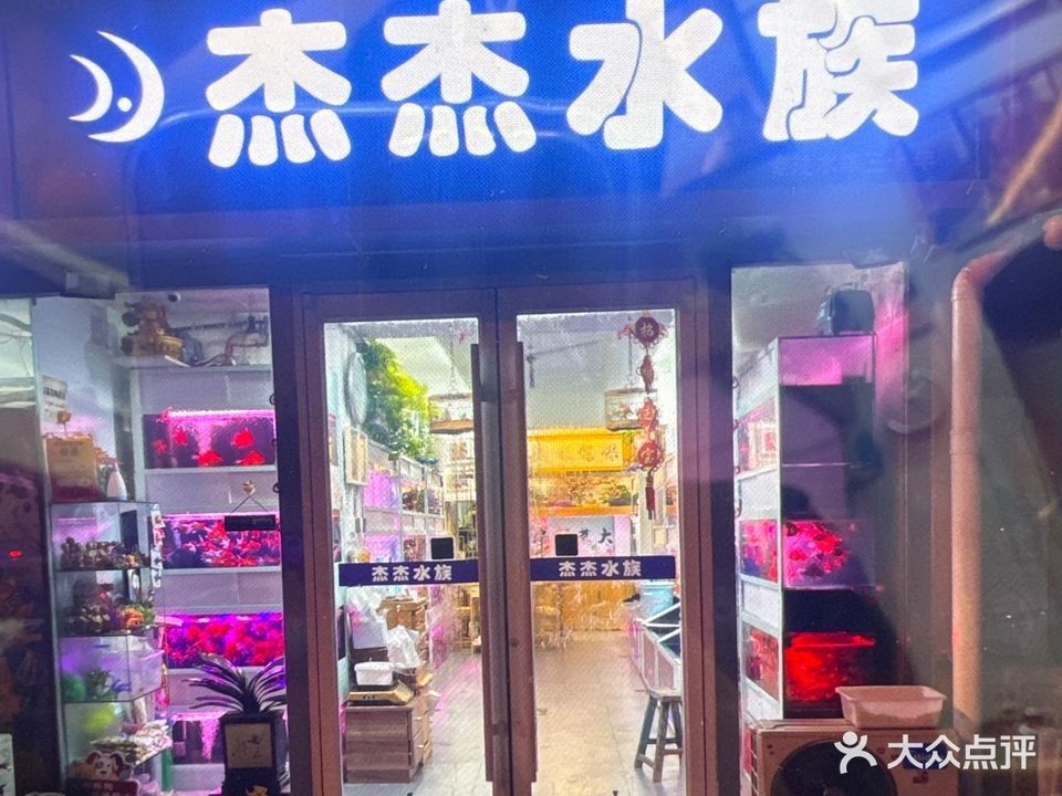 城口哪個水族館龍魚好？祥龍魚場龍魚