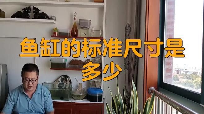 金龍魚缸需要多大的過濾系統？（金龍魚缸的過濾系統大小取決于多個因素）