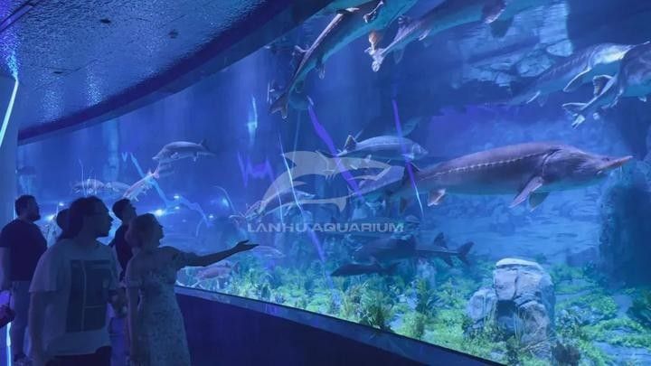 三江哪個水族館龍魚好？祥龍魚場龍魚