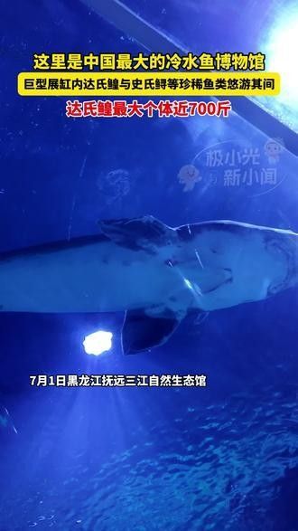 三江哪個水族館龍魚好？祥龍魚場龍魚