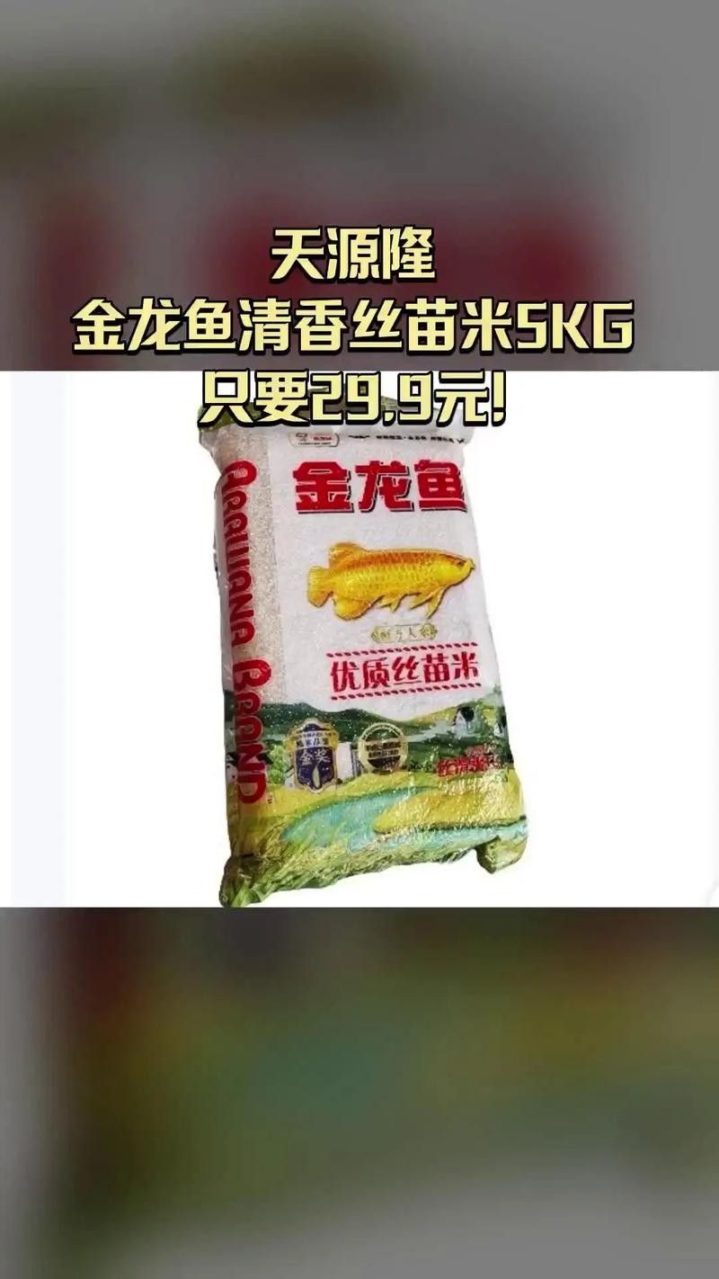 金龍魚絲苗米有哪些品種？（金龍魚絲苗米哪個品種最好吃金龍魚絲苗米哪個品種最好吃）