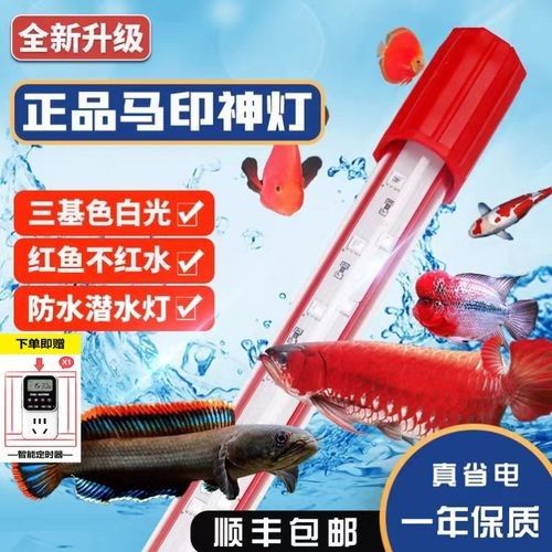LED龍魚燈有哪些型號推薦（led龍魚燈led龍魚燈防水燈防水馬印增艷神燈）