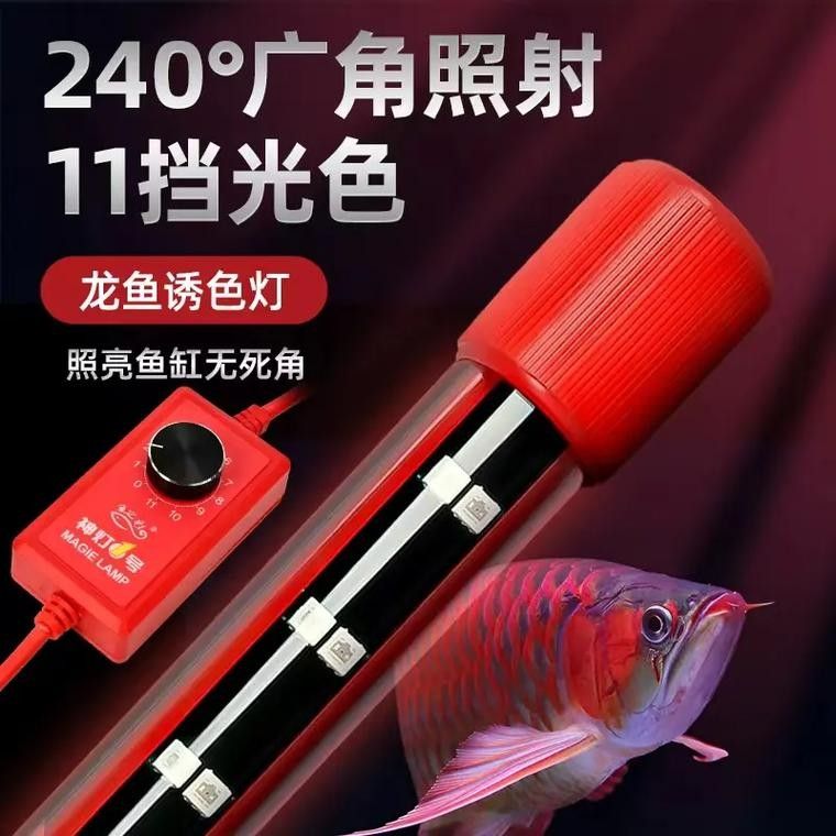 LED龍魚燈有哪些型號推薦（led龍魚燈led龍魚燈防水燈防水馬印增艷神燈）