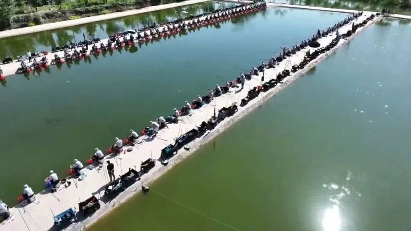 榆中哪個水族館龍魚好？祥龍魚場龍魚（中縣龍魚愛好者有福了）