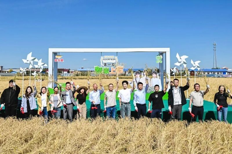 如何辨別金龍魚糧油的真偽？（如何辨別金龍魚糧油產品的真偽）