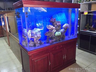 龍魚吃啥能變色啊（龍魚吃啥能變色啊視頻）（龍魚吃什么能夠讓它們變色）