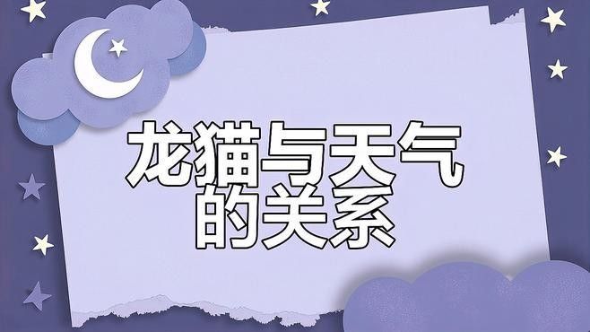 如何訓(xùn)練龍貓適應(yīng)放風(fēng)？（如何訓(xùn)練龍貓適應(yīng)放風(fēng)）