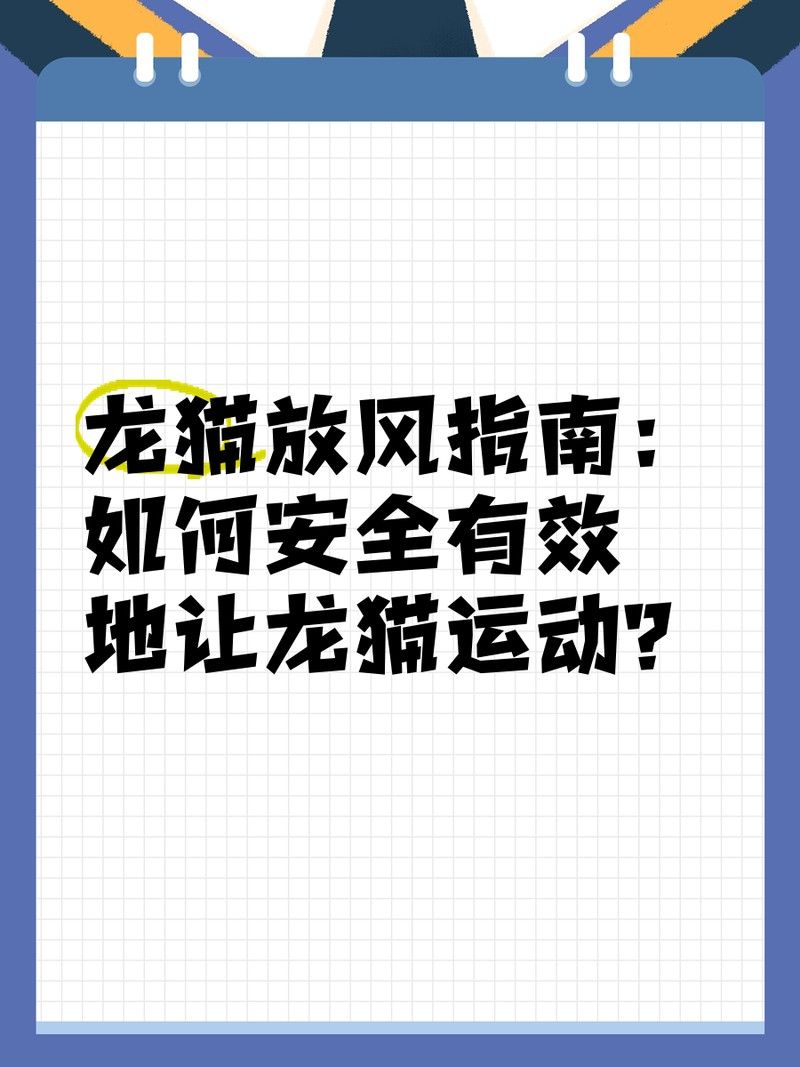 如何訓(xùn)練龍貓適應(yīng)放風(fēng)？（如何訓(xùn)練龍貓適應(yīng)放風(fēng)）
