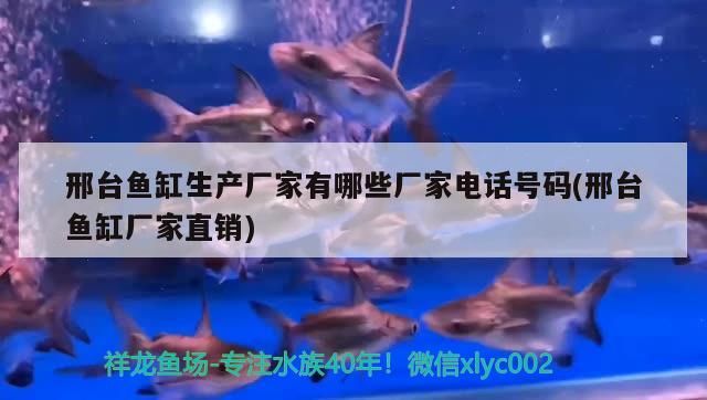 邢臺魚缸生產廠家有哪些廠家電話號碼(邢臺魚缸廠家直銷)（邢臺魚缸生產廠家有哪些廠家電話號碼） 邢臺魚缸生產廠家有哪些廠家電話號碼(邢臺魚缸廠家直銷)（邢臺魚缸生產廠家有哪些廠家電話號碼） 觀賞魚百科