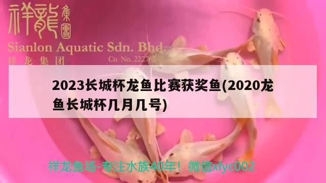 2023長城杯龍魚比賽獲獎魚(2020龍魚長城杯幾月幾號)（023長城杯龍魚<strong><mark>合作</mark></strong>用，首創(chuàng)2020龍魚長城杯幾月幾號）