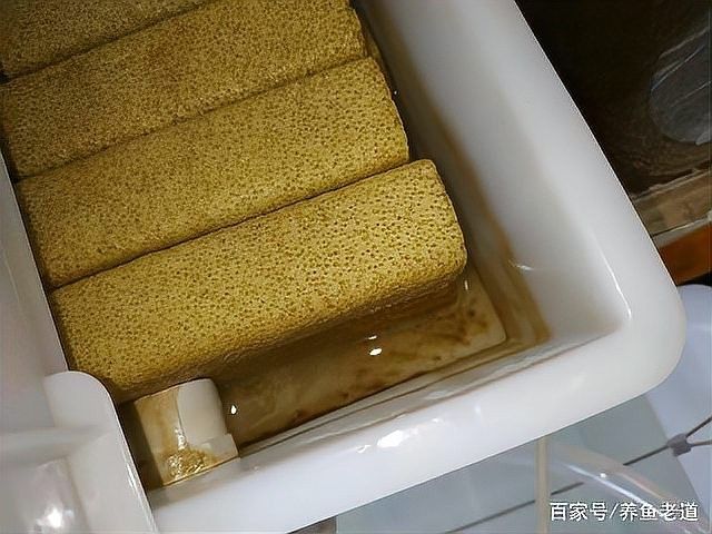 龍魚底濾中活性炭多久換一次（魚底濾系統中的活性炭是過濾水質的關鍵部分）