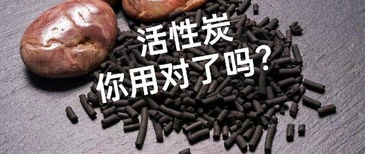 龍魚底濾中活性炭多久換一次（魚底濾系統中的活性炭是過濾水質的關鍵部分）