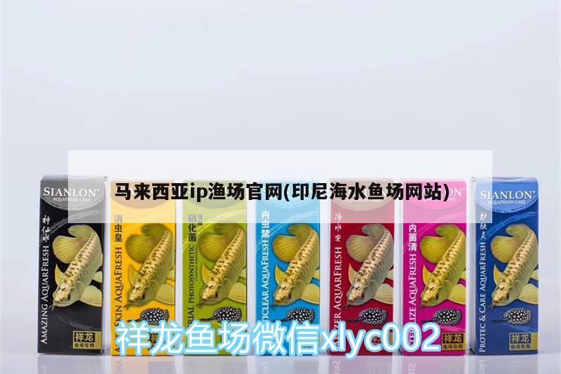 馬來西亞ip漁場官網(印尼海水魚場網站)（養龍魚什么牌子的魚缸好）