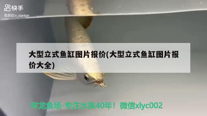 大型立式魚缸圖片報價(大型立式魚缸圖片報價大全)（大型立式魚缸圖片報價）