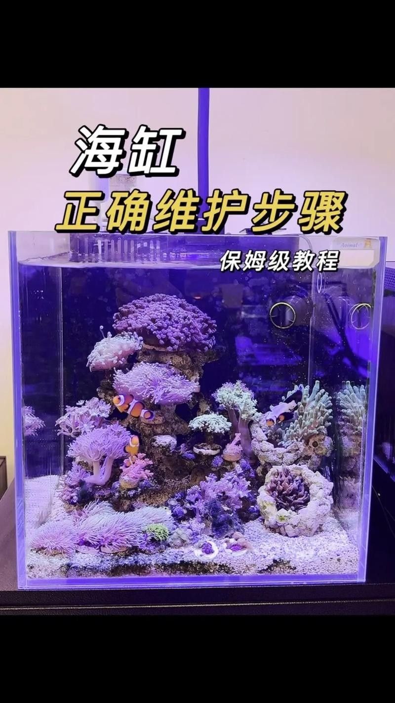 如何避免海水魚缸水質惡化？（妙本哈里海缸大神:海水魚缸水質惡化有效預防海水魚缸水質惡化） 如何避免海水魚缸水質惡化？（妙本哈里海缸大神:海水魚缸水質惡化有效預防海水魚缸水質惡化） 龍魚百科 第3張