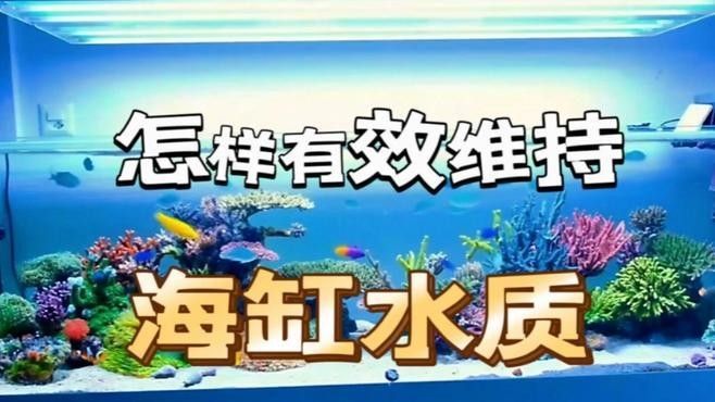 如何避免海水魚缸水質惡化？（妙本哈里海缸大神:海水魚缸水質惡化有效預防海水魚缸水質惡化） 如何避免海水魚缸水質惡化？（妙本哈里海缸大神:海水魚缸水質惡化有效預防海水魚缸水質惡化） 龍魚百科 第1張