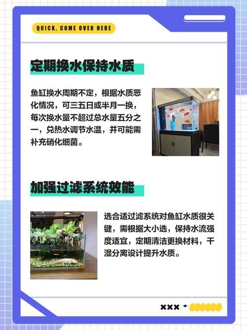 如何避免海水魚缸水質惡化？（妙本哈里海缸大神:海水魚缸水質惡化有效預防海水魚缸水質惡化） 如何避免海水魚缸水質惡化？（妙本哈里海缸大神:海水魚缸水質惡化有效預防海水魚缸水質惡化） 龍魚百科 第4張