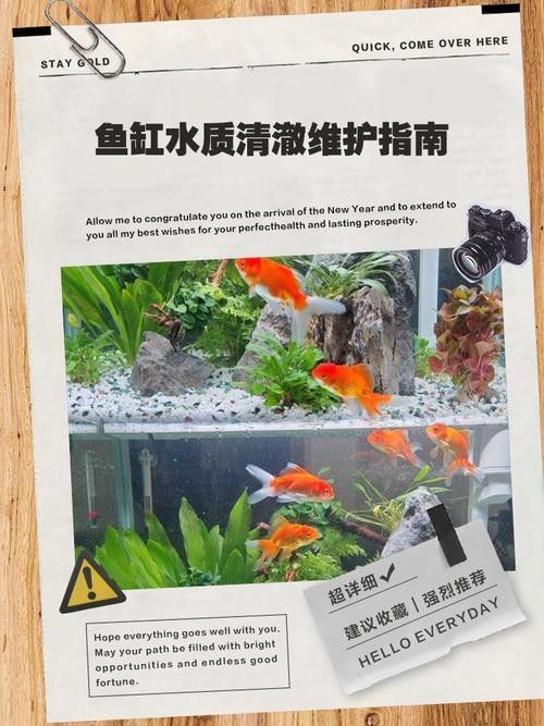 如何避免海水魚缸水質惡化？（妙本哈里海缸大神:海水魚缸水質惡化有效預防海水魚缸水質惡化） 如何避免海水魚缸水質惡化？（妙本哈里海缸大神:海水魚缸水質惡化有效預防海水魚缸水質惡化） 龍魚百科 第7張