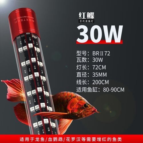 boxtech紅鰈2代的價格是多少？（boxtech紅鰈2代的價格策略及其背后的考量因素）