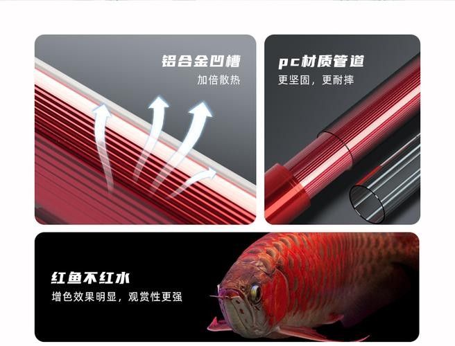 boxtech紅鰈2代的價格是多少？（boxtech紅鰈2代的價格策略及其背后的考量因素）
