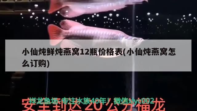 小仙燉鮮燉燕窩12瓶價格表(小仙燉燕窩怎么訂購)（小仙燉鮮燉燕窩12瓶價格表）
