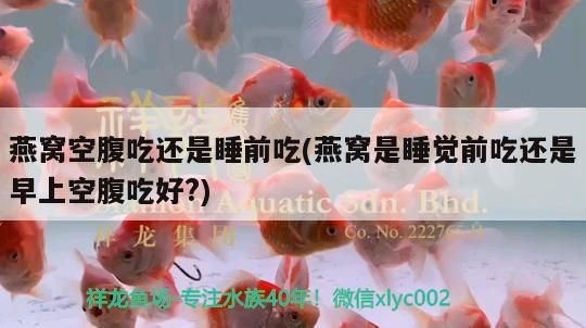 麗水水族批發(fā)市場地址電話號碼查詢及查詢方法，麗水水族批發(fā)市場地址電話號碼
