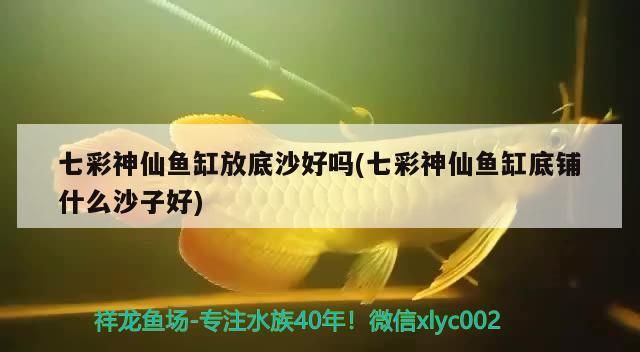 麗水水族批發(fā)市場地址電話號碼查詢及查詢方法，麗水水族批發(fā)市場地址電話號碼