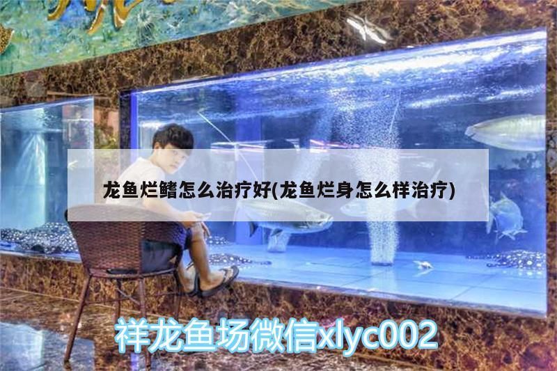 龍魚爛鰭怎么治療好(龍魚爛身怎么樣治療)（龍魚爛鰭怎么治療）