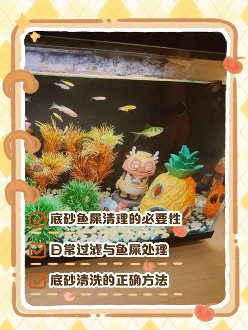 腸胃炎對金龍魚有哪些影響（腸胃炎對金龍魚的具體影響并從多個角度分析其原因及防治措施）