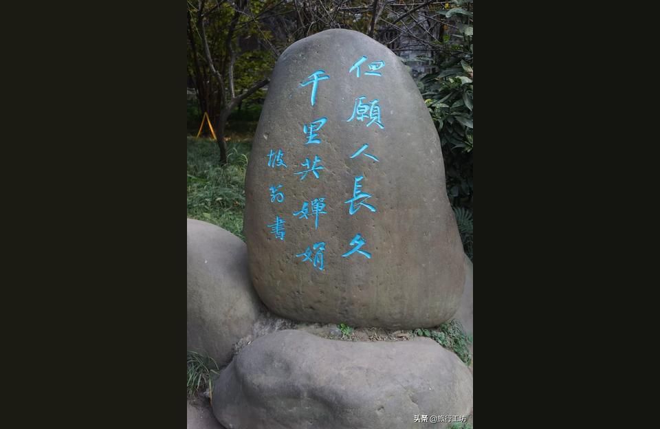 眉山觀賞魚（仁壽縣哪里有賣觀賞魚、魚缸和寵物類？）