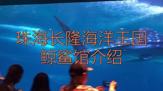 鯨鯊館夜宿體驗包括哪些內(nèi)容？（珠海長隆海洋王國鯨鯊館夜宿體驗是一種獨特的旅游活動）